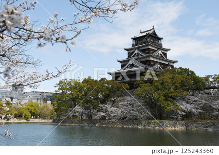 広島城と桜と堀 広島城と桜と堀 125243360