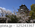 広島城と桜 広島城と桜 125243367