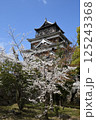 広島城と桜 広島城と桜 125243368