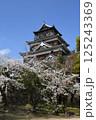 広島城と桜 広島城と桜 125243369