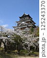 広島城と桜 広島城と桜 125243370
