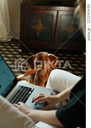 Young woman with her dog working remotely Young woman with her dog working remotely 125243436