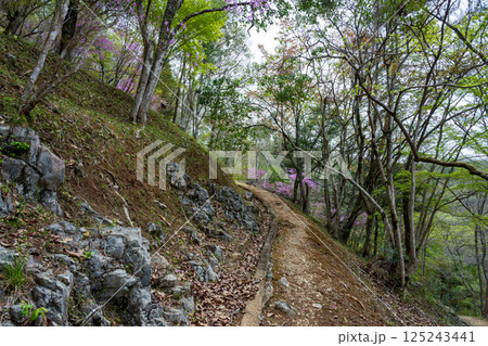 日本の春の岡山県の山村の美しい風景 125243441