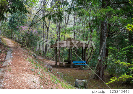 日本の春の岡山県の山村の美しい風景 125243443