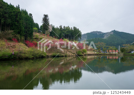 日本の春の岡山県の山村の美しい風景 125243449