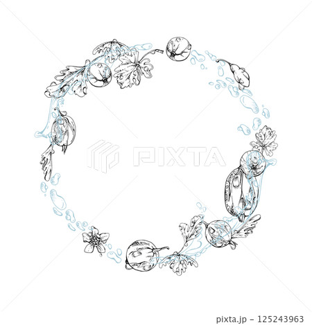 Gooseberry Currant berries wreath flying in water splash with green leaves, dew drops, ripe garden juneberry casseille jostaberry hand drawn in vector ink. Isolated circle frame. Fresh grocery store Gooseberry Currant berries wreath flying in water splash with green leaves, dew drops, ripe garden juneberry casseille jostaberry hand drawn in vector ink. Isolated circle frame. Fresh grocery store 125243963