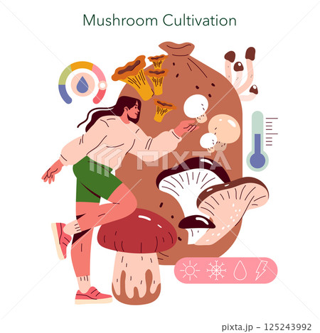 Mushroom cultivation and sustainable practices in mini farms. Explore the importance of growing mushrooms for food security, nutrition, and eco-friendly agriculture methods. Vector illustration. Mushroom cultivation and sustainable practices in mini farms. Explore the importance of growing mushrooms for food security, nutrition, and eco-friendly agriculture methods. Vector illustration. 125243992