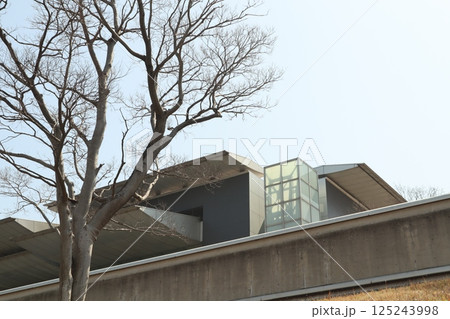 (和歌山県立近代美術館)005 (和歌山県立近代美術館)005 125243998