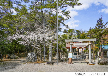 西尾神社（西尾城址）　 125244361