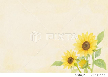 ひまわりの花 125244443