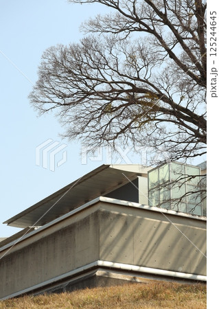 （和歌山県立近代美術館）009 125244645