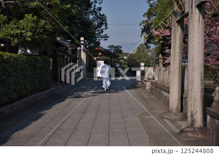 城南宮 東の鳥居から見る朝日に照らされる参道1 城南宮 東の鳥居から見る朝日に照らされる参道1 125244808