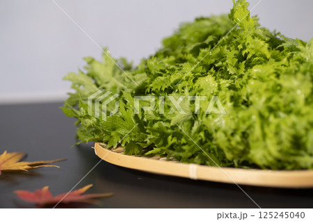 わさび菜 125245040