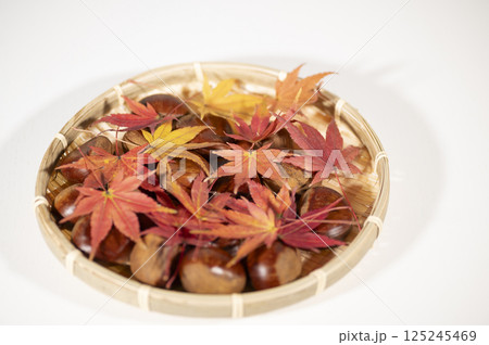 秋の味覚生栗 125245469