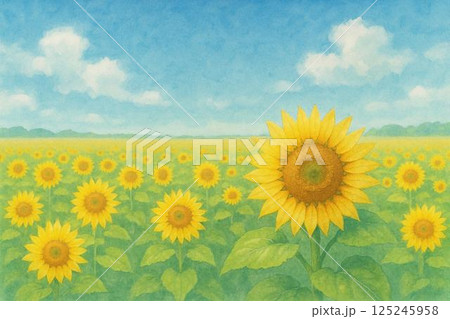 ひまわり畑 125245958