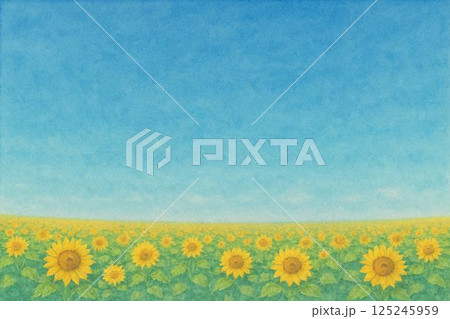 ひまわり畑 ひまわり畑 125245959