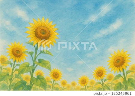ひまわり畑 125245961