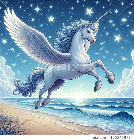 空を駆けるペガサスのイラスト 125245978