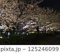 夜桜と川辺の灯り / Cherry blossoms by the river at night 125246099