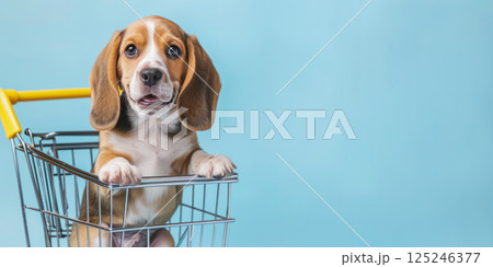 Cute little beagle in a shopping cart on a pastel blue background. Shopping, sale, advertisement, online shopping concept banner with copy space. 125246377