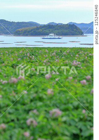 海の恵み(牡蠣)と 大地の恵み(じゃがいも) 海の恵み(牡蠣)と 大地の恵み(じゃがいも) 125246840