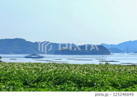 初夏の穏やかな瀬戸内海を進むフェリー 125246849