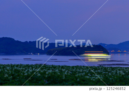 黄昏時の瀬戸内海をゆっくり進むフェリー 125246852