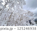 戸隠スキー場の雪景色 125246938