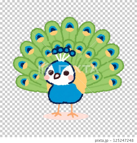 Deformation, peacock illustration, simple, icon, material, no background 125247248