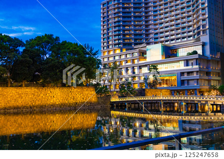 和田倉橋と歩道の外灯にライトアップされたイチョウ並木と水面に反射したホテルと皇居（東京都千代田区） 125247658