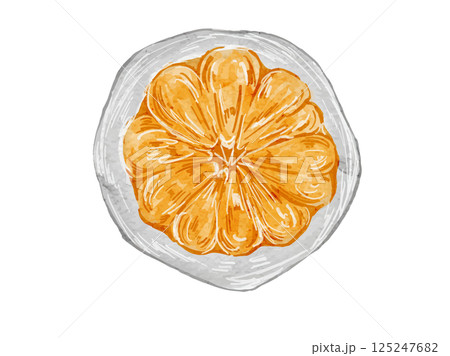 水彩で描いた鮮やかで美味しそうなフルーツ大福のみかん大福のイラスト素材 水彩で描いた鮮やかで美味しそうなフルーツ大福のみかん大福のイラスト素材 125247682