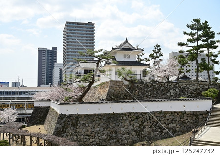 城内の鏡櫓とソメイヨシノ(福山城) 城内の鏡櫓とソメイヨシノ(福山城) 125247732