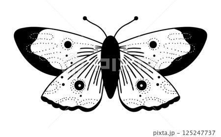 mystical butterfly in boho style. vector doodle illustration.	 125247737