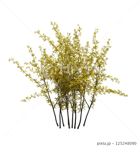 bush isolate on a transparent background, 3D illustration, cg render 125248090