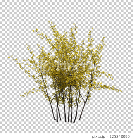 bush isolate on a transparent background, 3D illustration, cg render 125248090