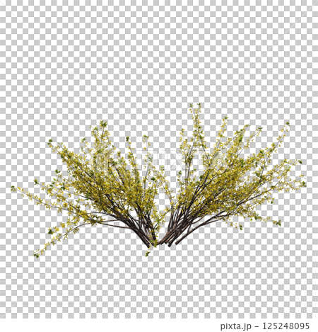 bush isolate on a transparent background, 3D illustration, cg render 125248095