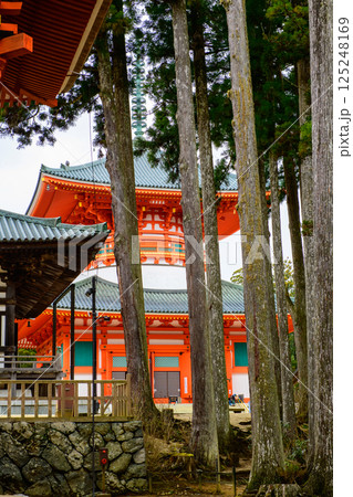 世界遺産高野山　壇上伽藍　根本大塔　和歌山県 125248169