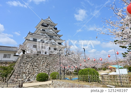 天守閣と桜の花(福山城) 天守閣と桜の花(福山城) 125248197