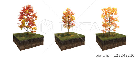 Deciduous tree and soil cut under it. Isolated garden element, 3D illustration, cg render 125248210