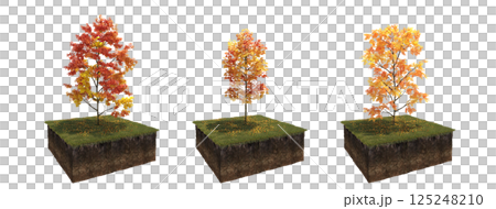 Deciduous tree and soil cut under it. Isolated garden element, 3D illustration, cg render 125248210