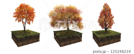 Deciduous tree and soil cut under it. Isolated garden element, 3D illustration, cg render 125248219
