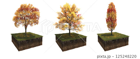 Deciduous tree and soil cut under it. Isolated garden element, 3D illustration, cg render Deciduous tree and soil cut under it. Isolated garden element, 3D illustration, cg render 125248220