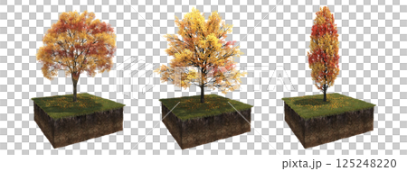 Deciduous tree and soil cut under it. Isolated garden element, 3D illustration, cg render Deciduous tree and soil cut under it. Isolated garden element, 3D illustration, cg render 125248220