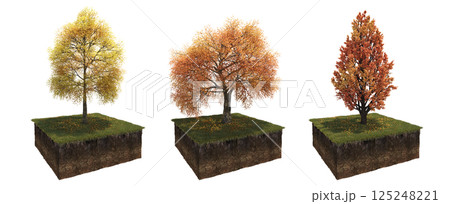 Deciduous tree and soil cut under it. Isolated garden element, 3D illustration, cg render 125248221