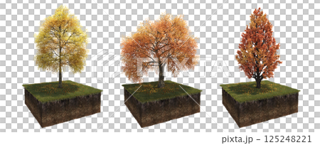 Deciduous tree and soil cut under it. Isolated garden element, 3D illustration, cg render 125248221