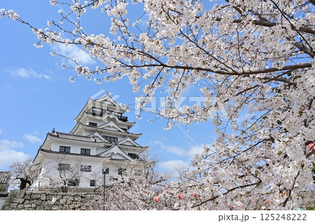 天守閣と桜の花（福山城） 125248222