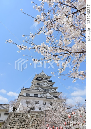 天守閣と桜の花（福山城） 125248227