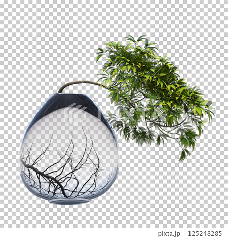 decorative bonsai tree isolated on a transparent background, 3D illustration, cg render 125248285