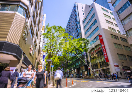 日本の東京都市景観 新緑の宮益坂などを望む 日本の東京都市景観 新緑の宮益坂などを望む 125248405