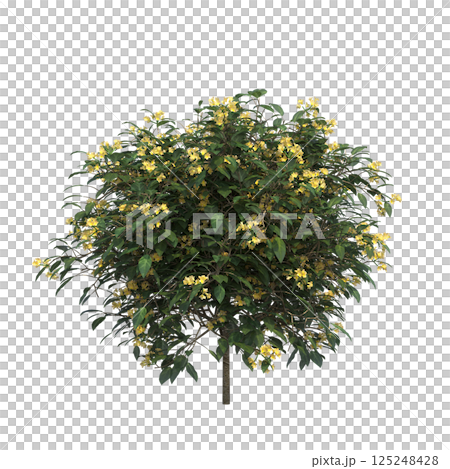 big tree, isolate on a transparent background, 3d illustration big tree, isolate on a transparent background, 3d illustration 125248428